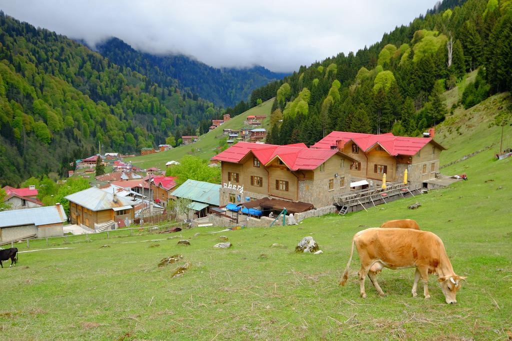 Oberj Hotel Ayder Yaylasi Εξωτερικό φωτογραφία